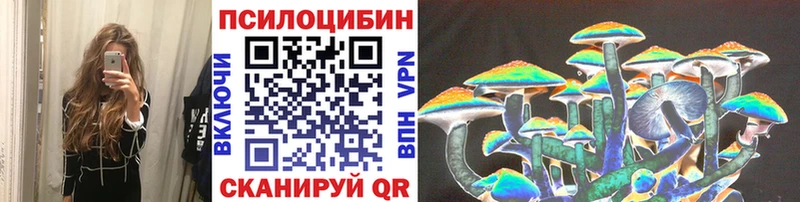 Галлюциногенные грибы мухоморы  маркетплейс наркотические препараты  Суздаль 